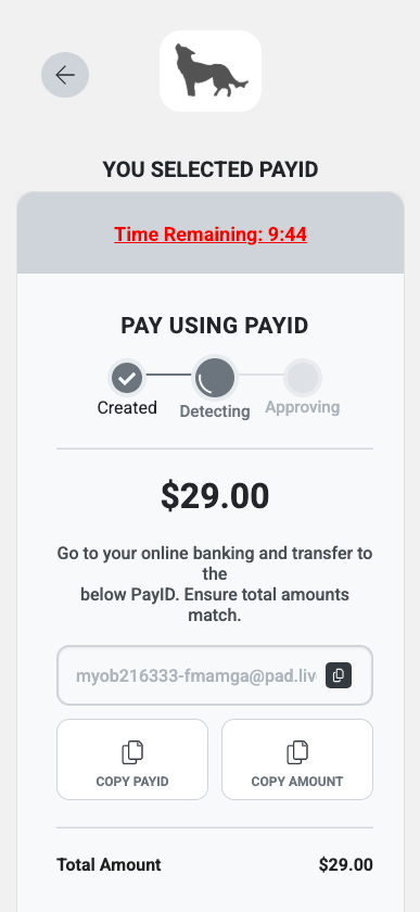 PayID-Example.png